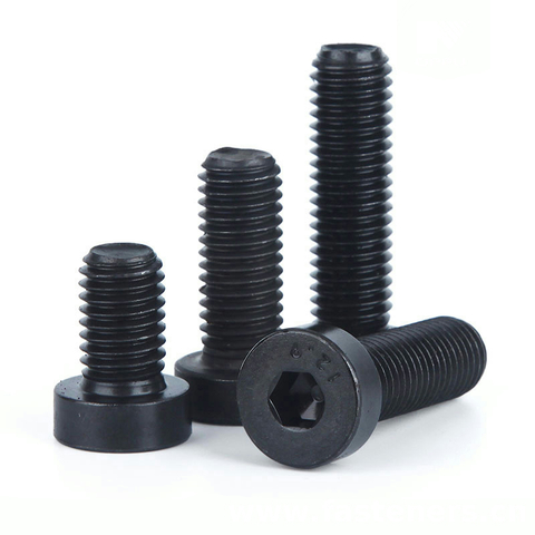 CNS4556 Hexagon Socket Head Cap Screws