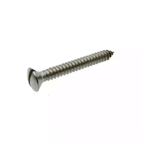 CNS 1053 Slotted Raised Countersunk Head Wood Screws