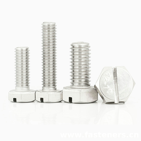 NF E 25-137 Slotted Hexagon Head Screws