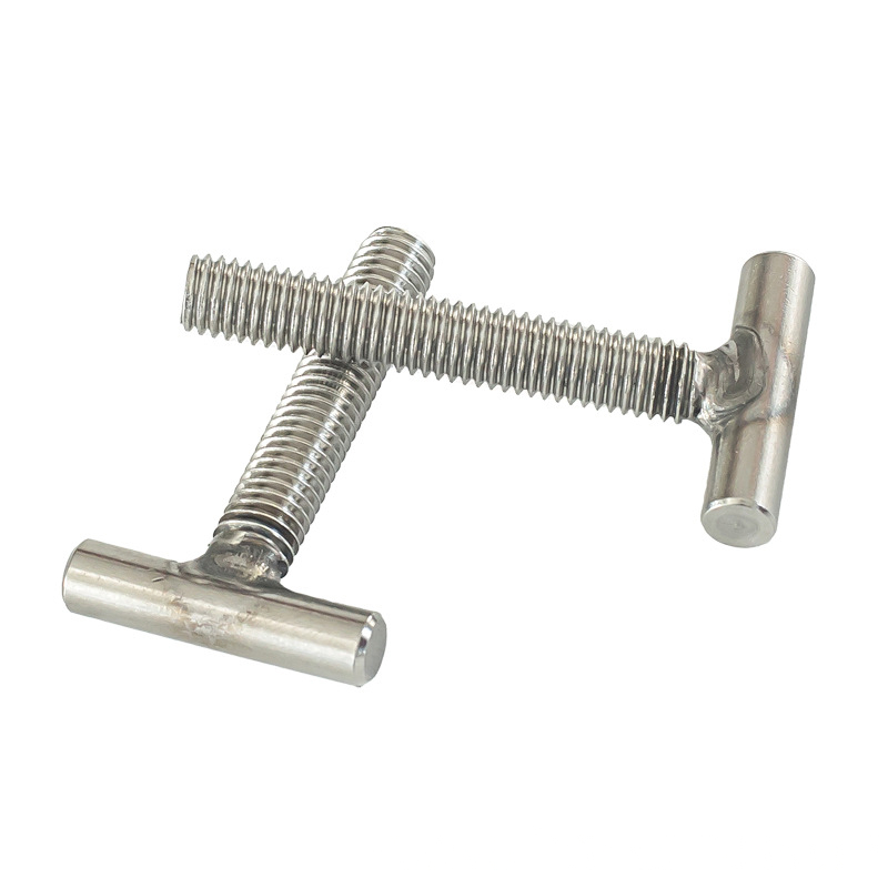 Stainless Steel T-shaped Screw,T Bolt