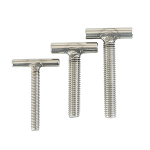 Stainless Steel T-shaped Screw,T Bolt